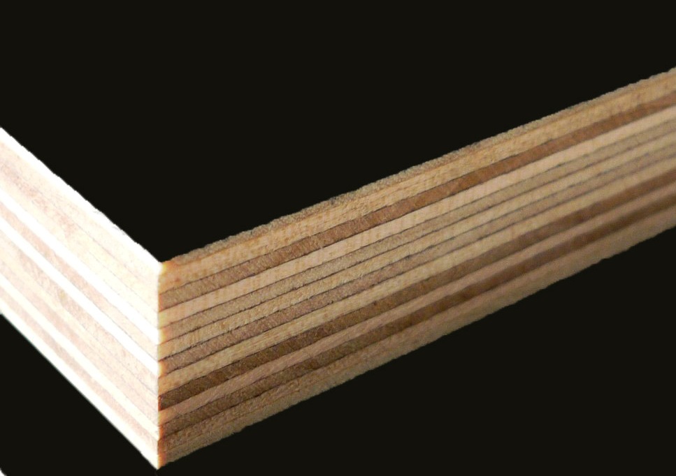 The difference of poplar, eucalyptus, pine, birch for film faced plywood