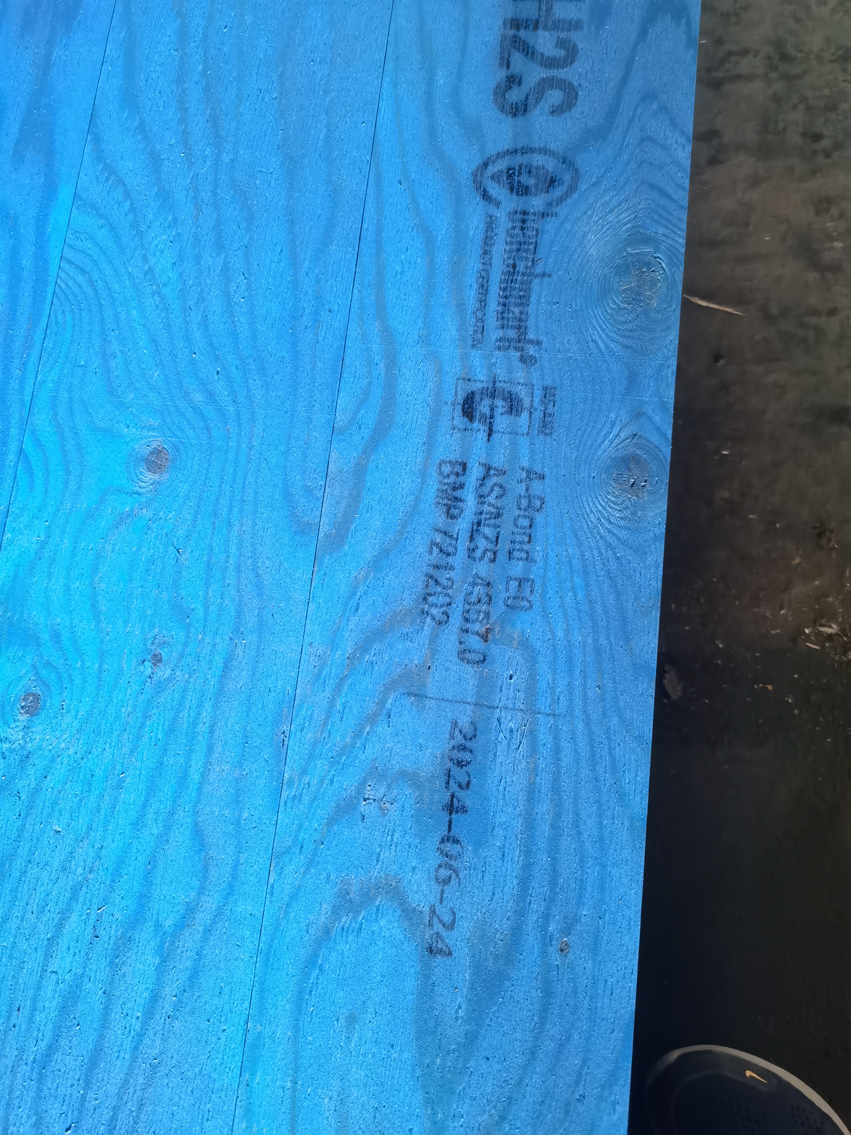 c913f1d67d36e36c9b70ee4fbf3203e