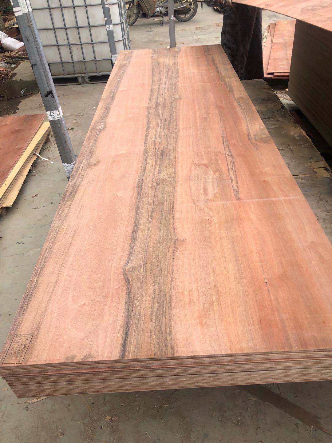 F22 Grade H2S Treatment Hardwood Bracing Plywood AS/NZS 2269 